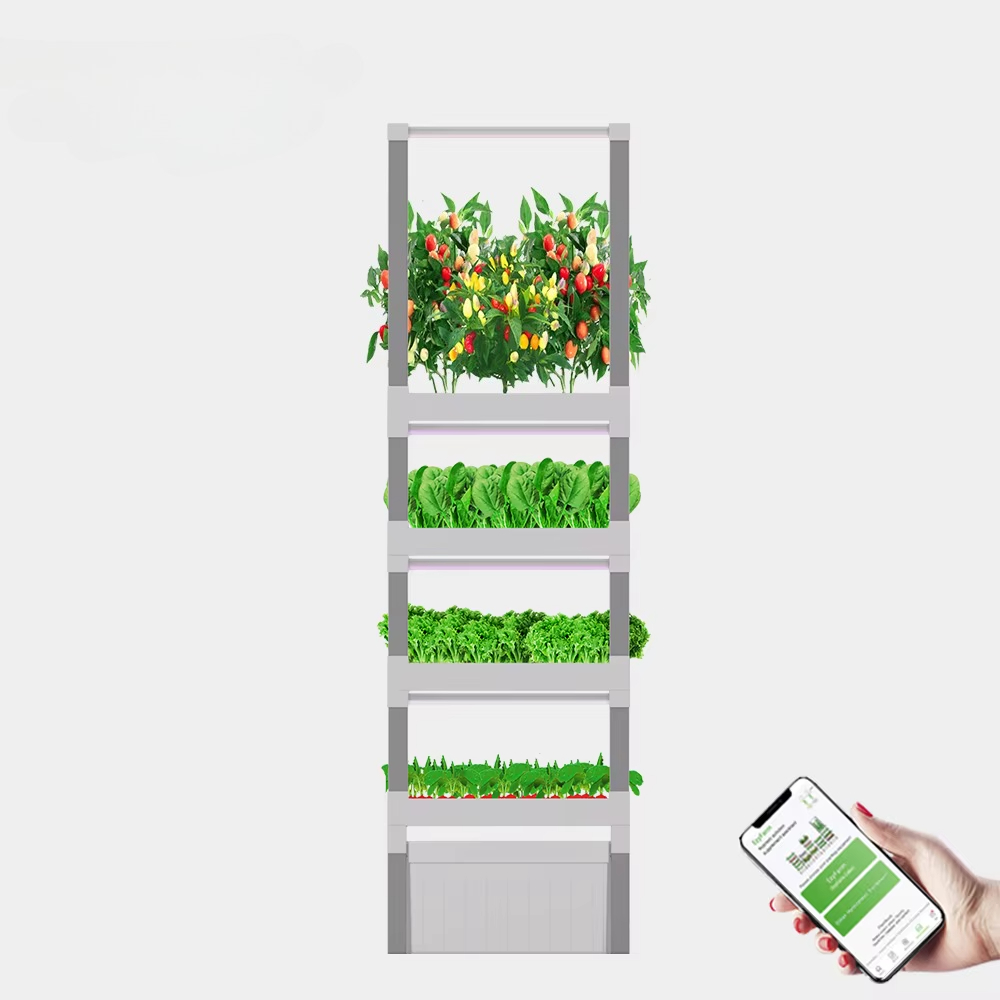 nt China Hydrokultur Grow Box  - Diy Home Automation System recensione e prezzo
