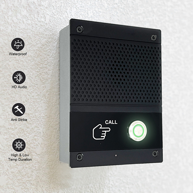 SIP Intercom Voice Control Doo - Smart Home Automation Diy recensione e prezzo