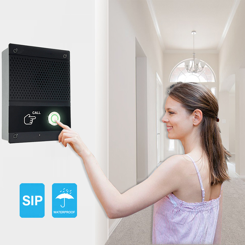 SIP Intercom Voice Control Doo - Smart Home Automation Diy recensione e prezzo