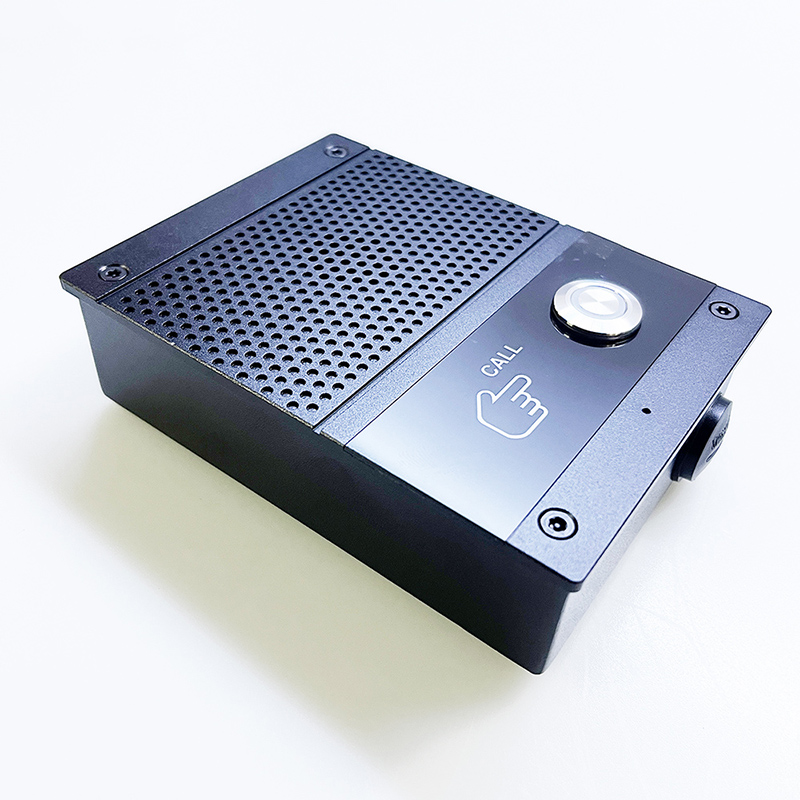 SIP Intercom Voice Control Doo - Smart Home Automation Diy recensione e prezzo