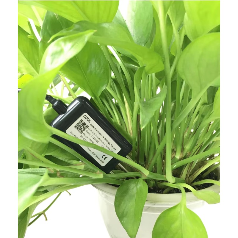 RS485 4-20mA Portable Soil Moi - Temperature Humidity Sensor recensione e prezzo