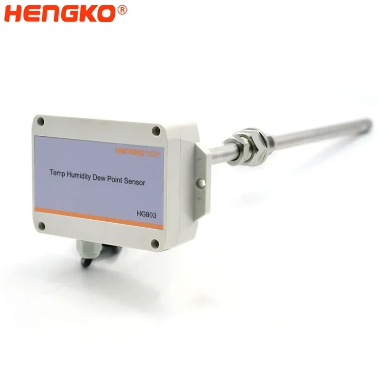 HENGKO Pipeline Type High Prec - Temperature Humidity Sensor recensione e prezzo