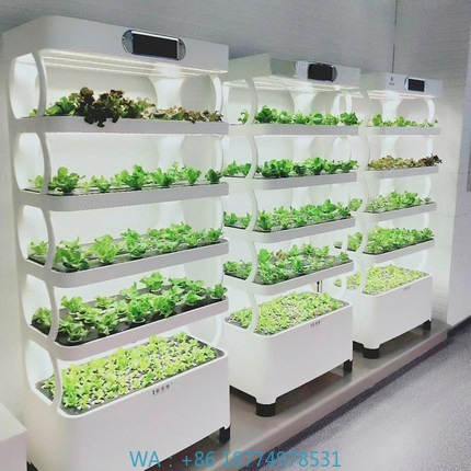 Iydroponic Automated Grow Syst - Diy Home Automation System recensione e prezzo
