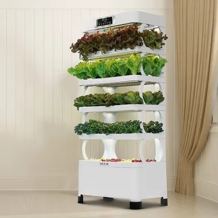 Iydroponic Automated Grow Syst - Diy Home Automation System recensione e prezzo
