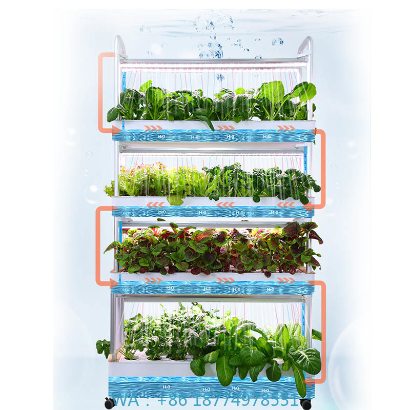 ydroponic Planting System Smar - Smart Home Automation Diy recensione e prezzo
