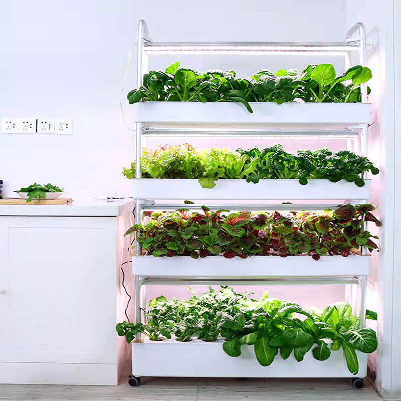 ydroponic Planting System Smar - Smart Home Automation Diy recensione e prezzo