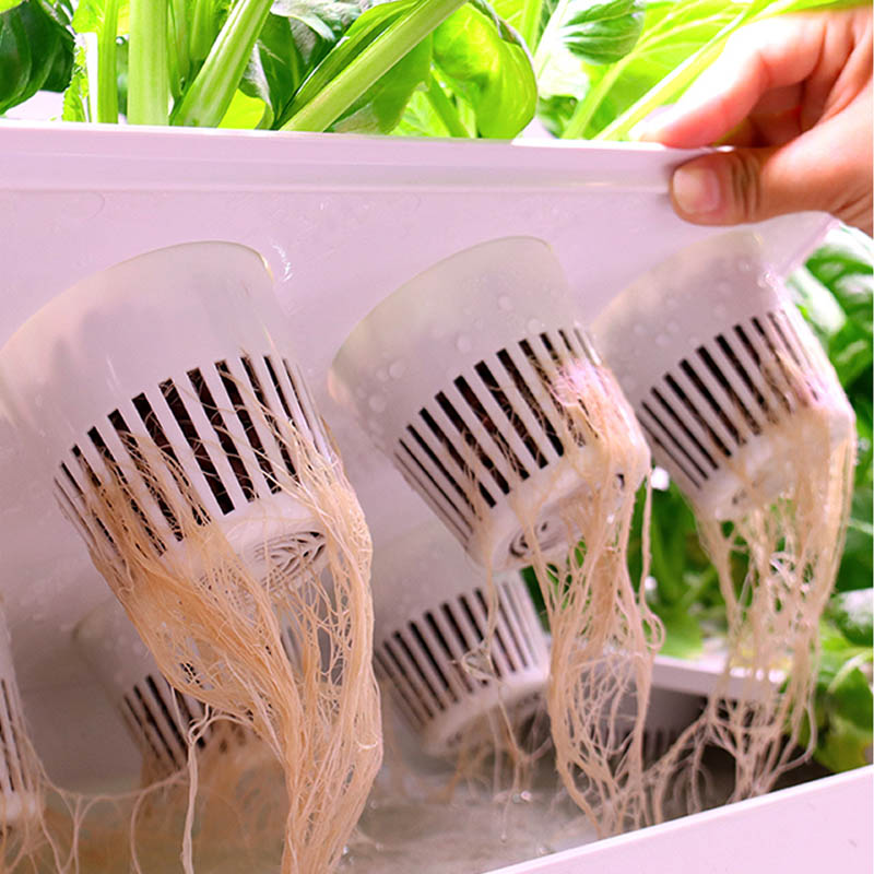 ydroponic Planting System Smar - Smart Home Automation Diy recensione e prezzo