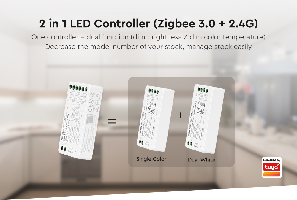 DC12-24V 2.4G RF Led Strip Con - Zigbee Coordinator Stick recensione e prezzo