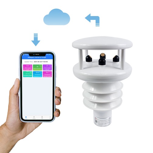 2026 RIKA RK900-10 Pm2.5 Pm10  - Temperature Humidity Sensor recensione e prezzo