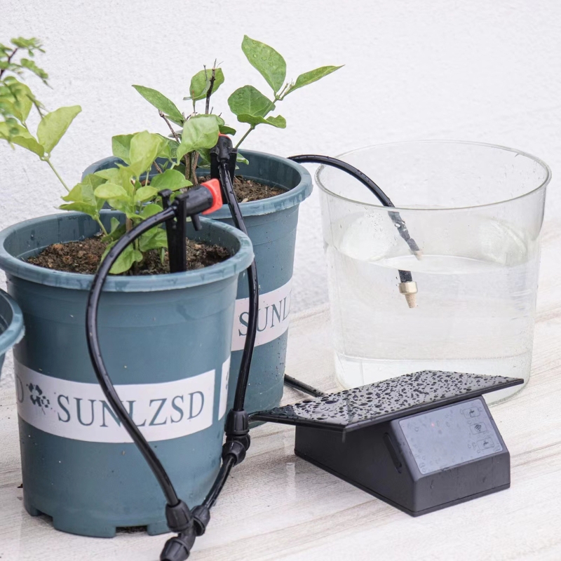 WIFI Solar Automatic Watering  - Smart Home Automation Diy recensione e prezzo