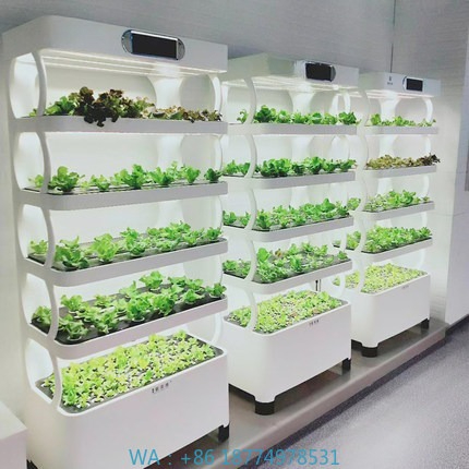 Hydroponic Automated Grow Syst - Diy Automation recensione e prezzo